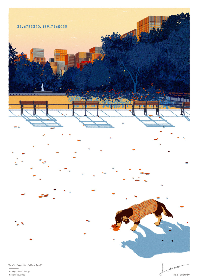 蓮くんのお気に入りの落ち葉