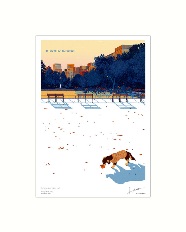 蓮くんのお気に入りの落ち葉