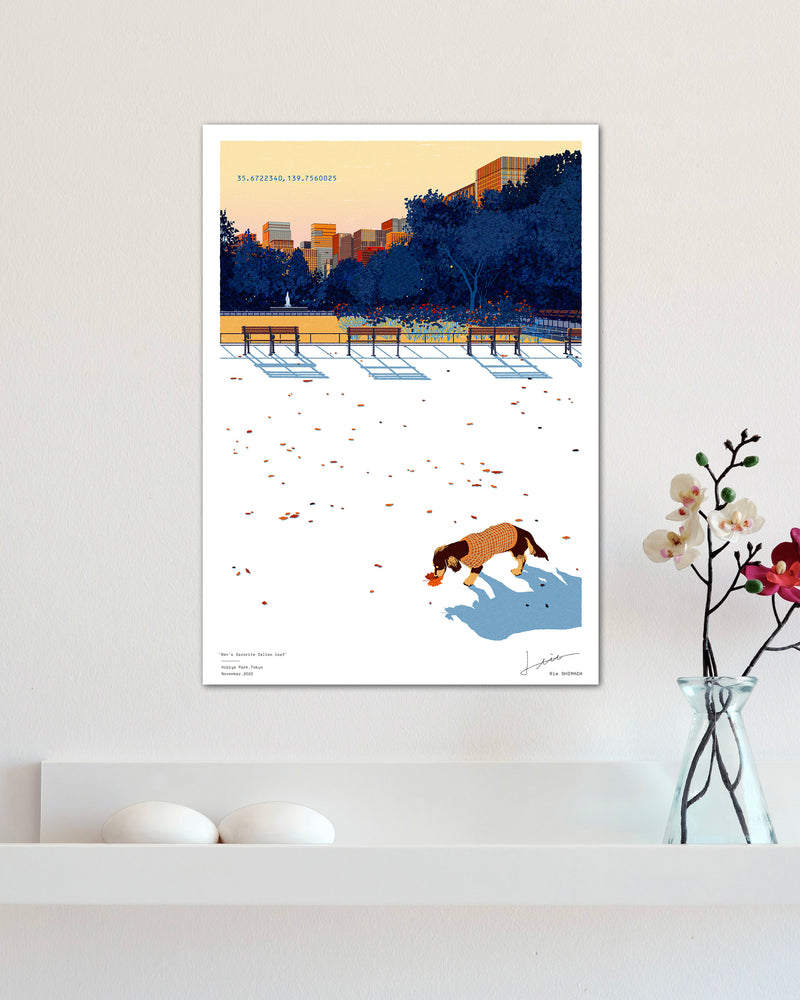 蓮くんのお気に入りの落ち葉